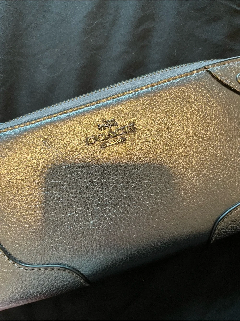 silver coach clutch